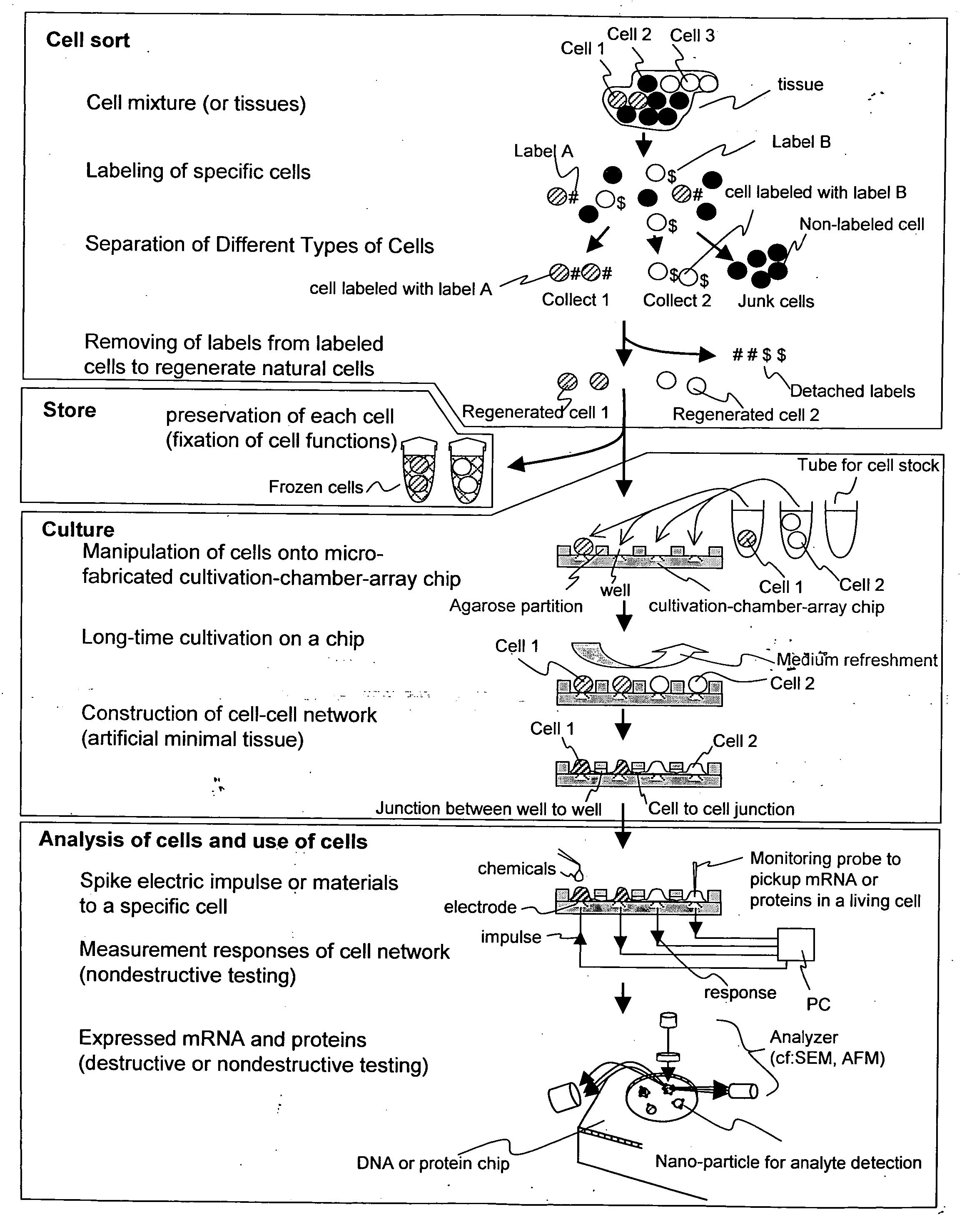 Cellomics system