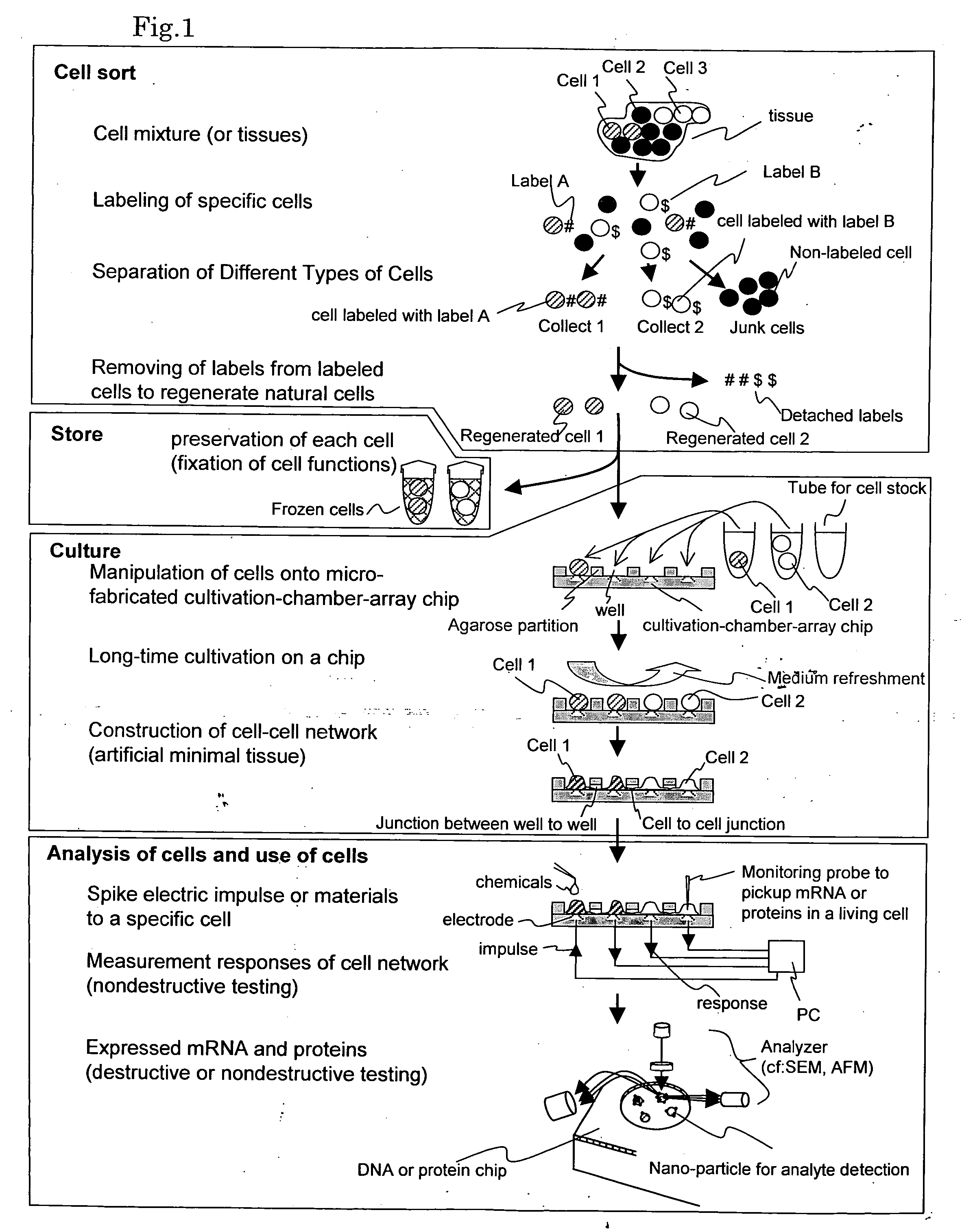 Cellomics system