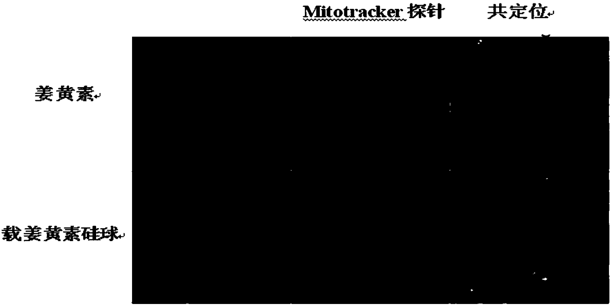 Method for improving solubility of poorly soluble drugs using silicon nanocarriers