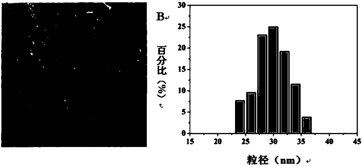 Method for improving solubility of poorly soluble drugs using silicon nanocarriers