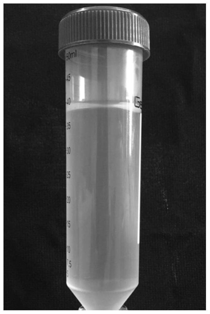 Photosynthetic bacterium capsulated rhodobacter strain, microbial agent, preparation method and application thereof