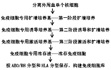 In-vitro culture, induction, activation and cryopreservation method and cell bank establishment of immune cells