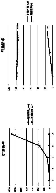 In-vitro culture, induction, activation and cryopreservation method and cell bank establishment of immune cells