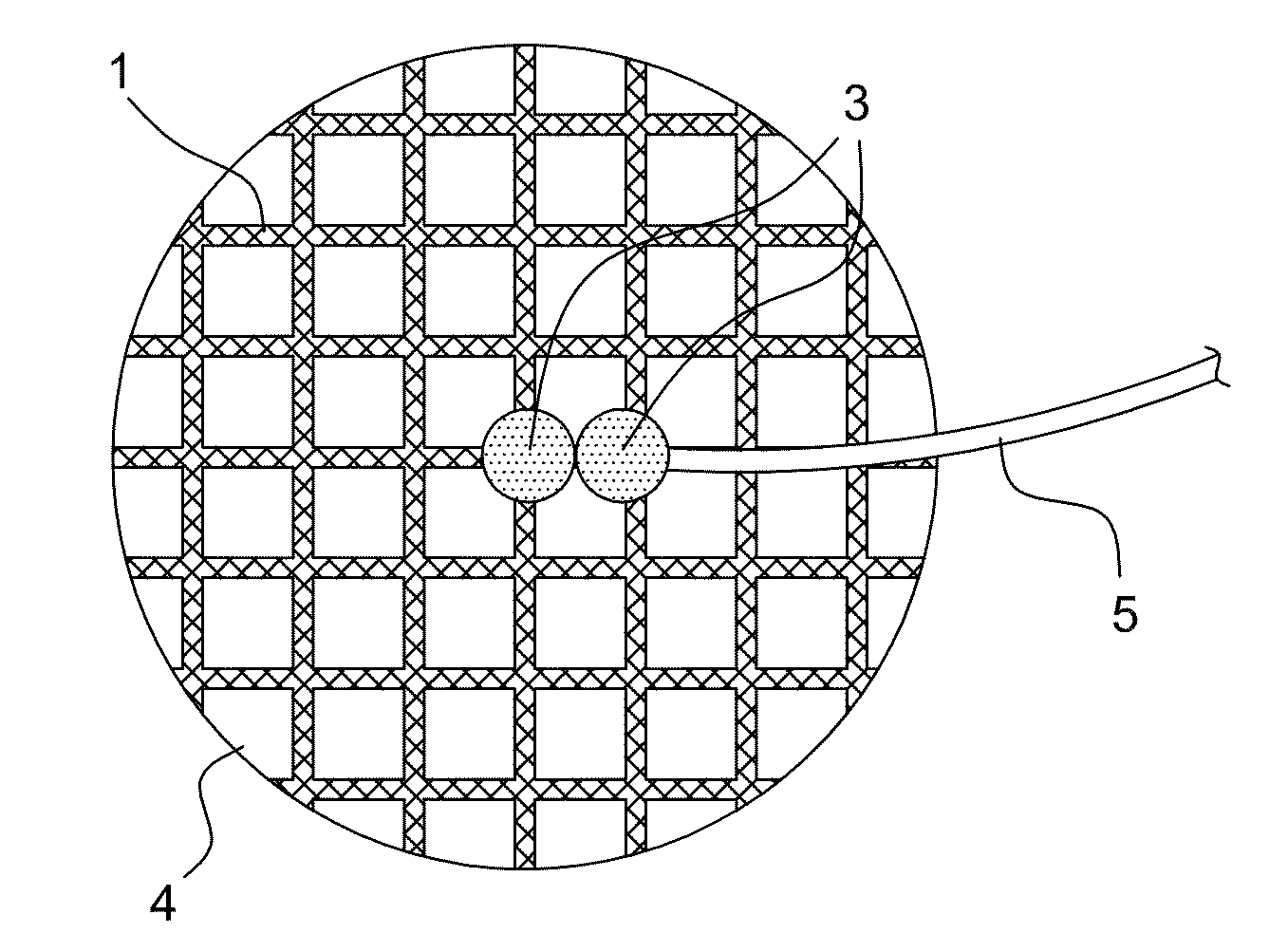 Current collection apparatus and method of processing for a solid oxide fuel cell thereof