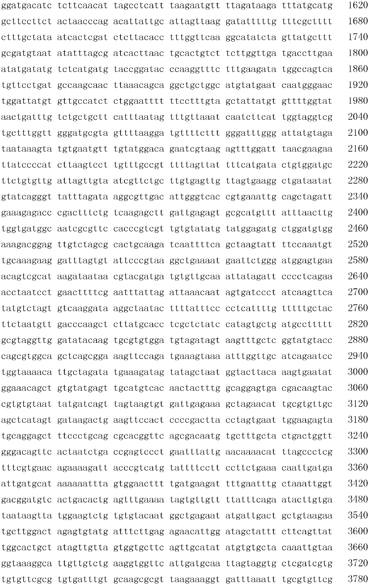 Macrobrachium rosenbergii bicistronic messenger ribonucleic acid (mRNA) viral genome complete sequence and application thereof