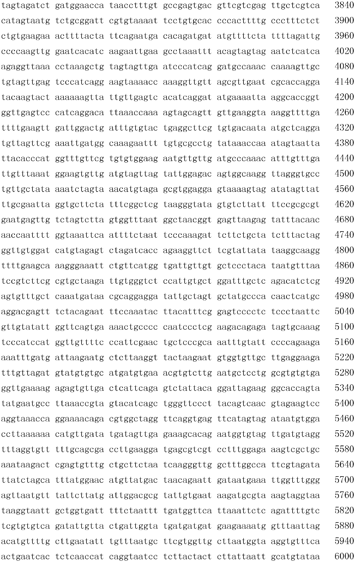 Macrobrachium rosenbergii bicistronic messenger ribonucleic acid (mRNA) viral genome complete sequence and application thereof