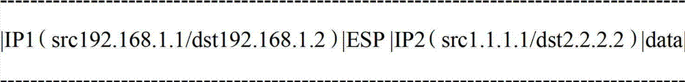 Method for carrying out encryption and decryption by using IPSec security association