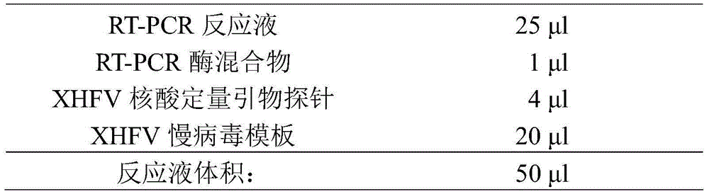 Kit for one-step nucleic acid quantitative RT-PCR detection on Xinjiang hemorrhagic fever virus