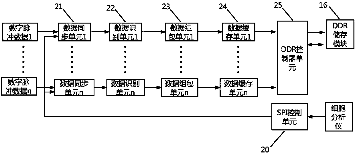 Cell analyzer capable of synchronously storing paths of pulse data and control method of cell analyzer