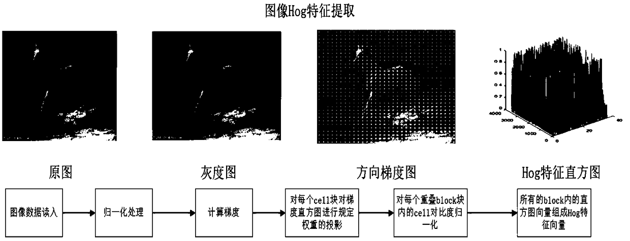 Image classification method and system based on migration learning