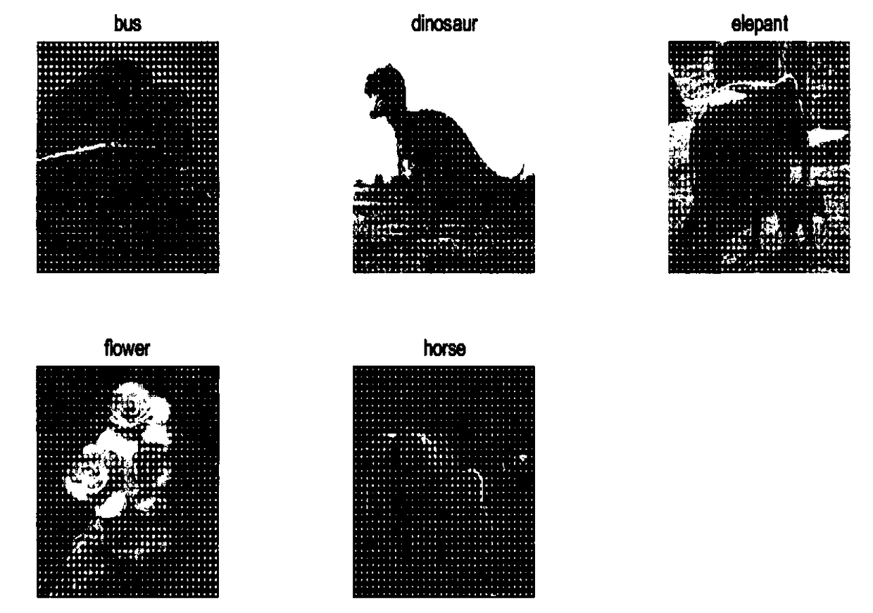 Image classification method and system based on migration learning