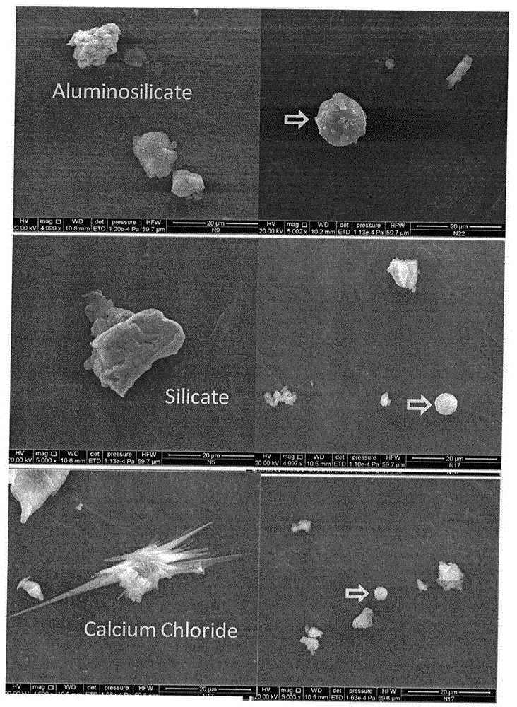 Filter membrane clamping and collecting method for falling dust of museum of ancient ruined site