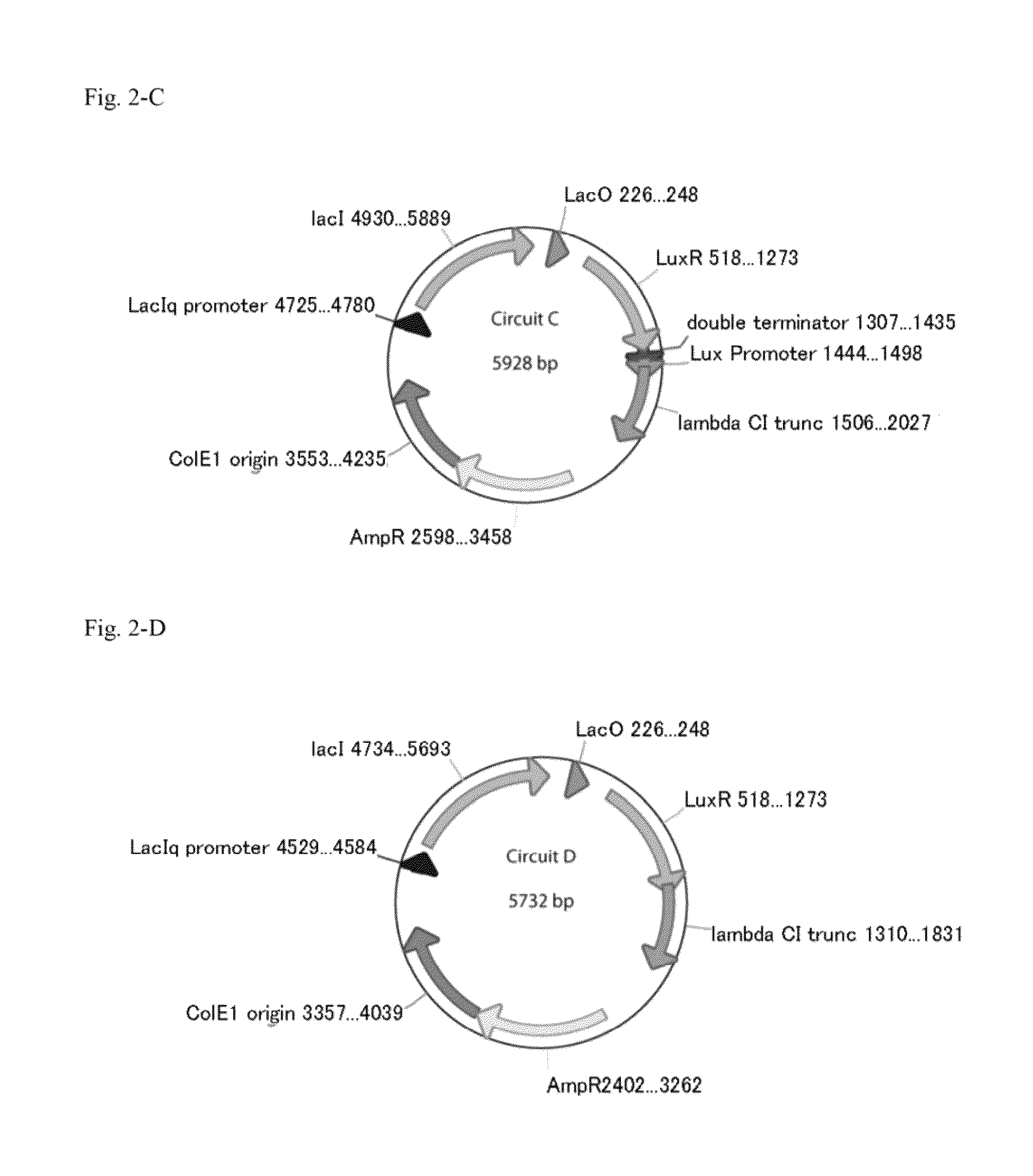 Method for rapidly developing gene switches and gene circuits