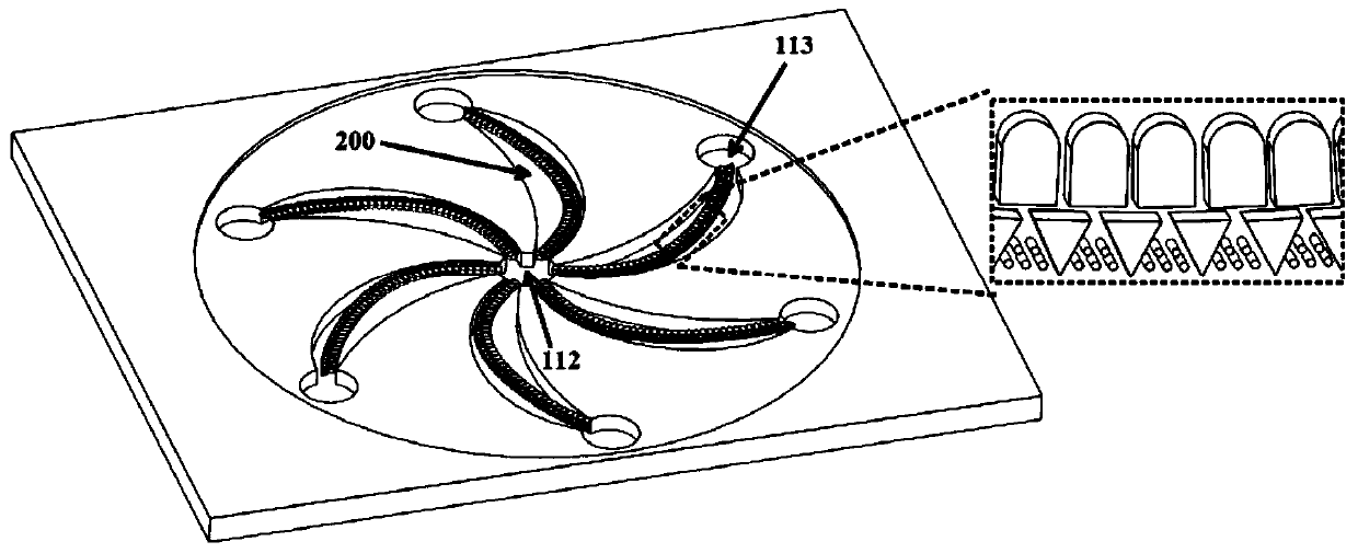 Double-layer micro-fluidic chip for capturing circulating tumor cells