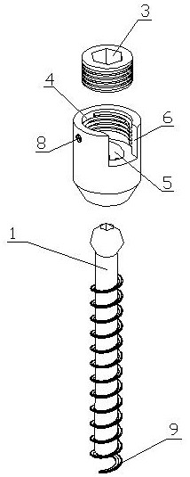 Zero-incisura conjoined screw for adjacent vertebral bodies