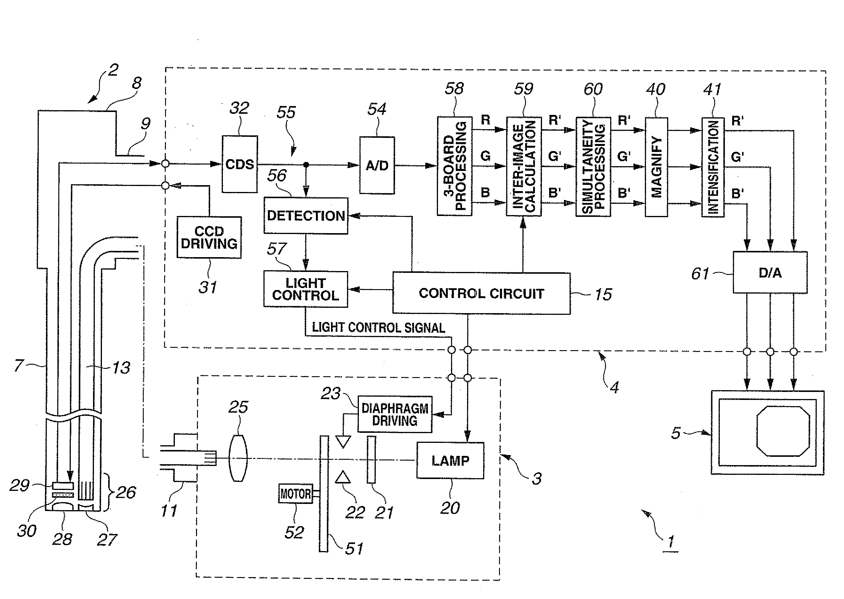 Fluorescent endoscopic device and method of creating fluorescent endoscopic image