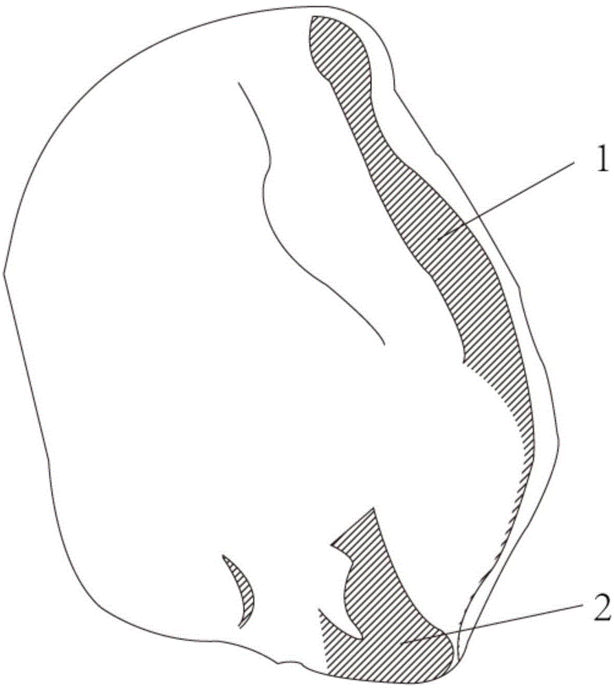 Tissue equivalent compensator manufacturing method and tissue equivalent compensator