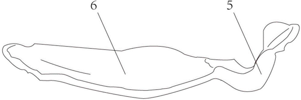 Tissue equivalent compensator manufacturing method and tissue equivalent compensator