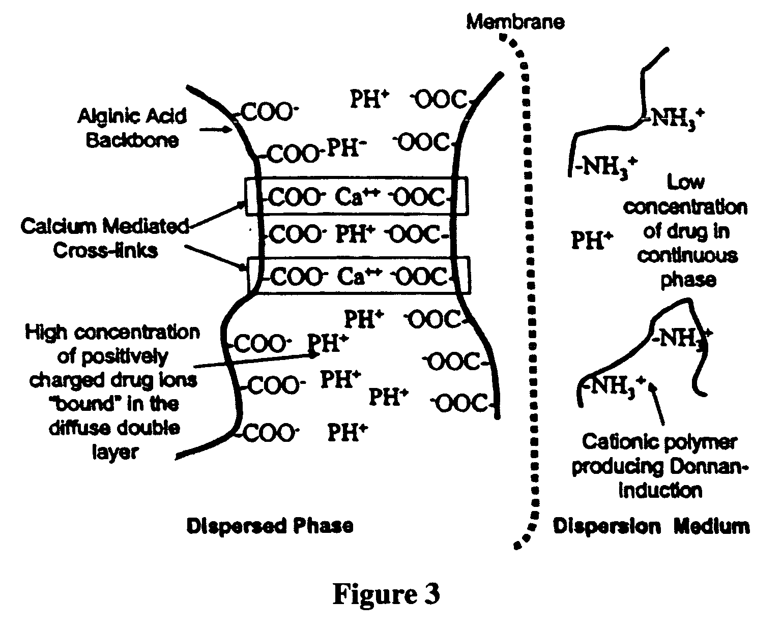 Aqueous sustained-release drug delivery system for highly water-soluble electrolytic drugs