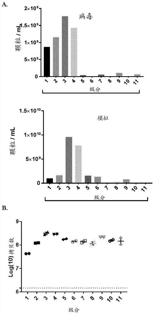 Adenosomes