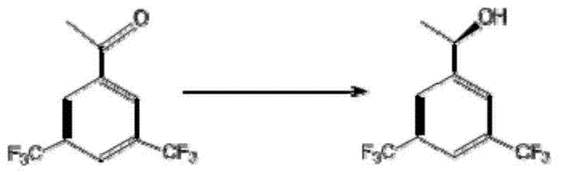 Application of Chryseobacterium sp. and carbonyl reductase thereof in production of aprepitant chiral intermediate