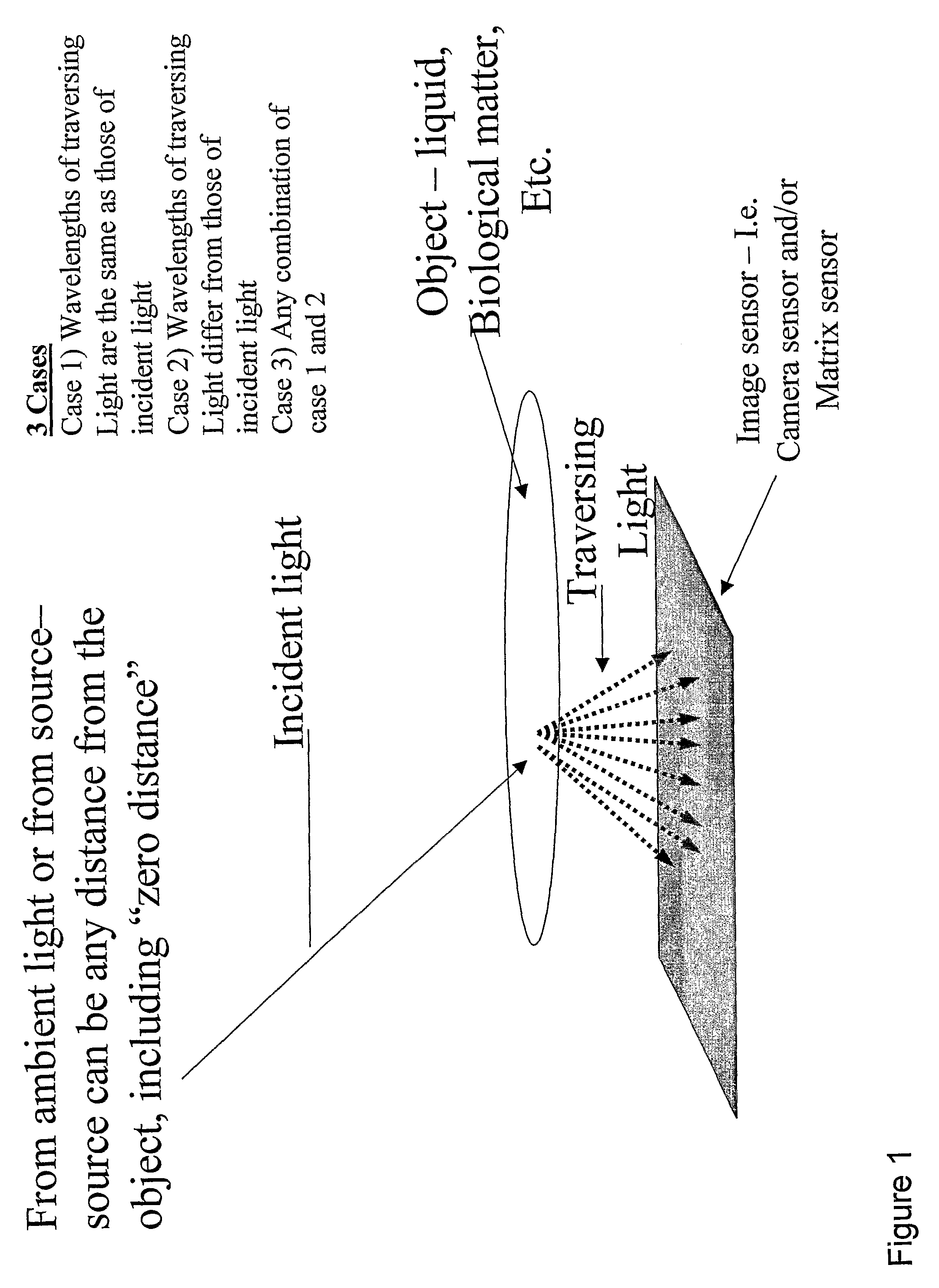 Optical sensor device and image processing unit for measuring chemical concentrations, chemical saturations and biophysical parameters