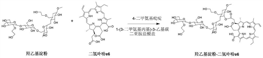 A series of drugs for tumor photodynamic therapy and its application