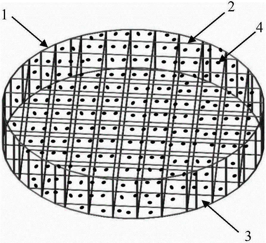 Tissue engineering cartilage composite stent and preparation method