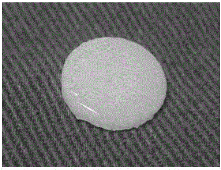 Tissue engineering cartilage composite stent and preparation method