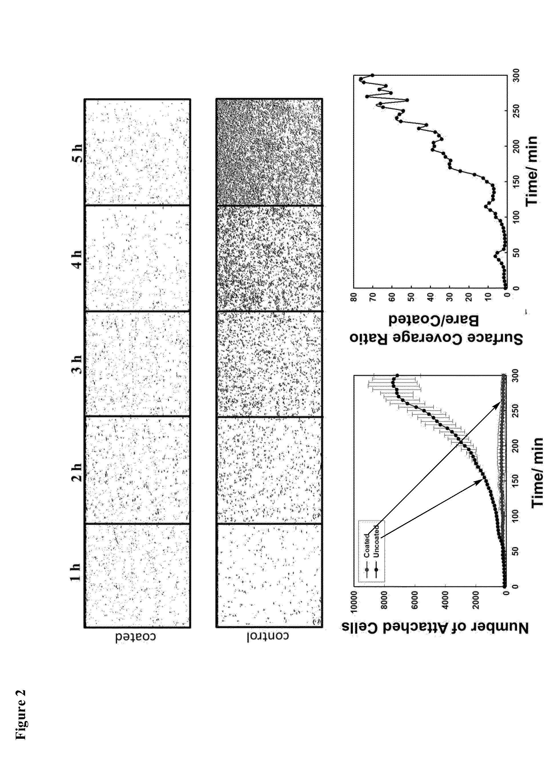 Antifouling and Chlorine-Resistant Ultrathin Coatings on Reverse Osmosis Membranes