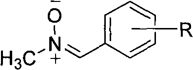 One-pot method for synthesizing N-methylnitrone compounds