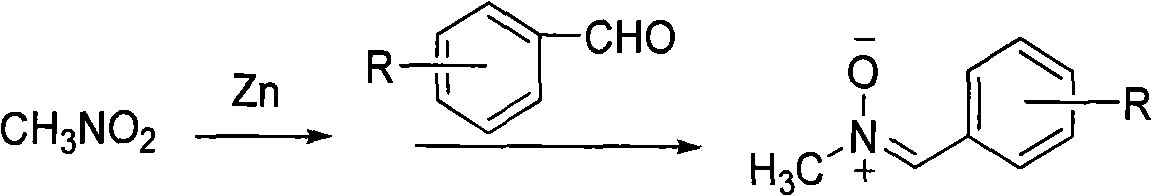 One-pot method for synthesizing N-methylnitrone compounds