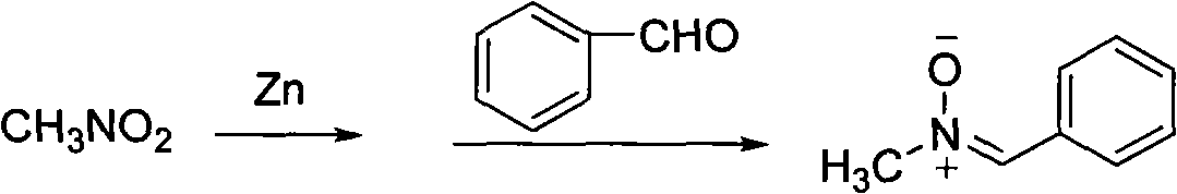 One-pot method for synthesizing N-methylnitrone compounds