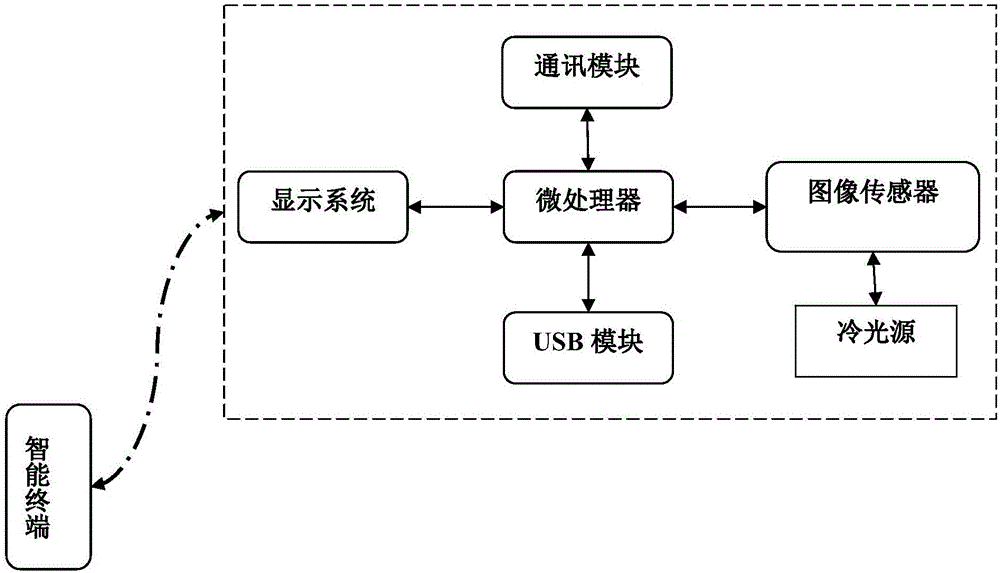 Colloidal gold card reader for detecting mycotoxins in livestock farms