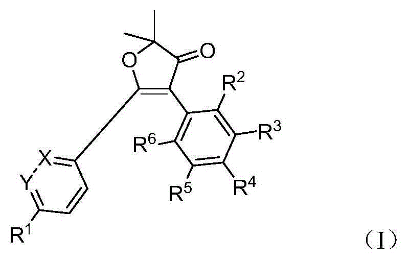 Furanone derivative, preparation method and use