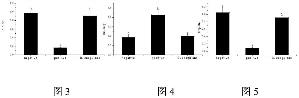 Application of bacillus coagulans in the preparation of medicines for preventing and/or treating allergic reactions