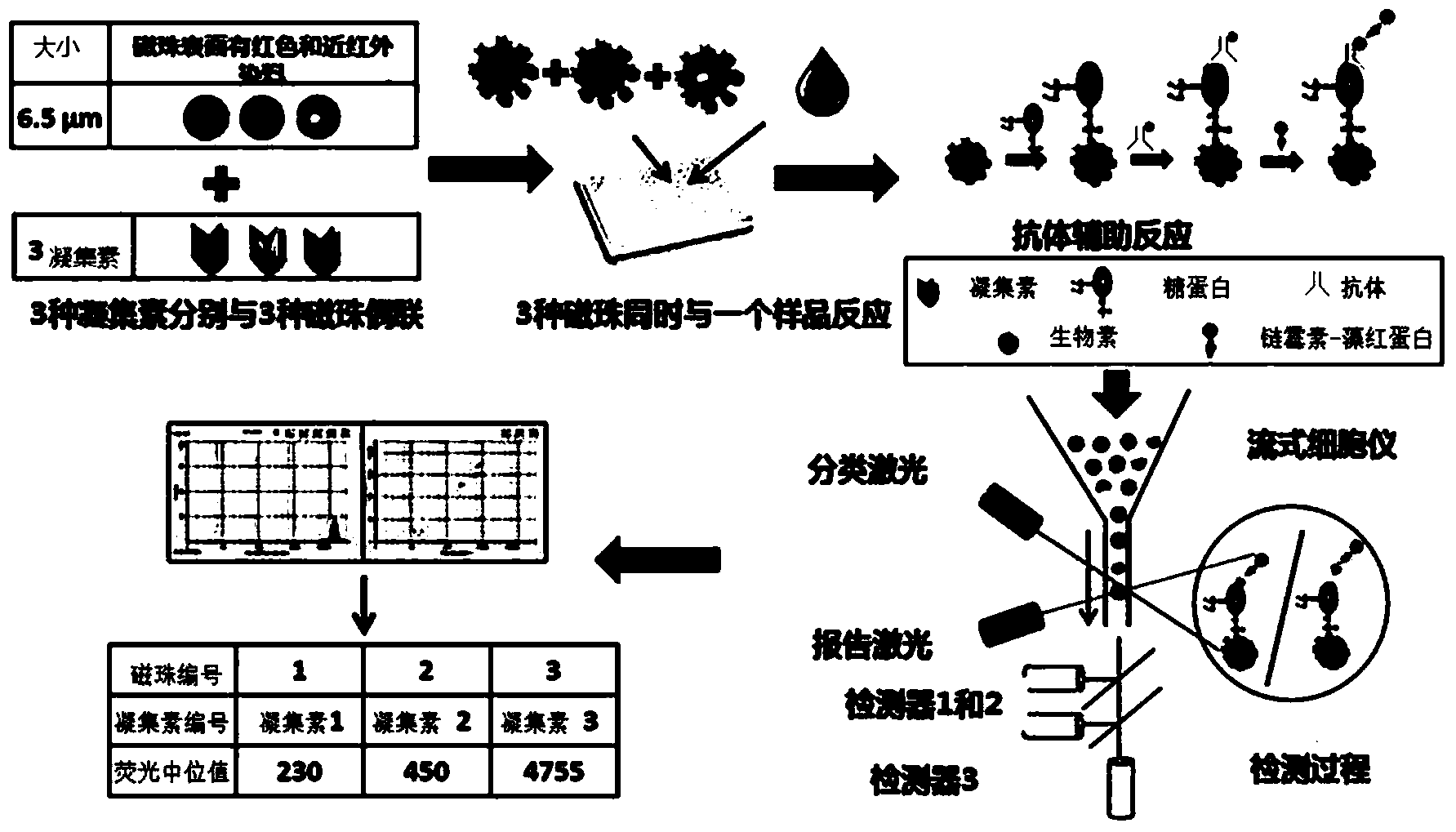 Method for multiply detecting carbohydrate chain structure of glycoprotein through antibody-assisted lectin liquid-phase suspension chip