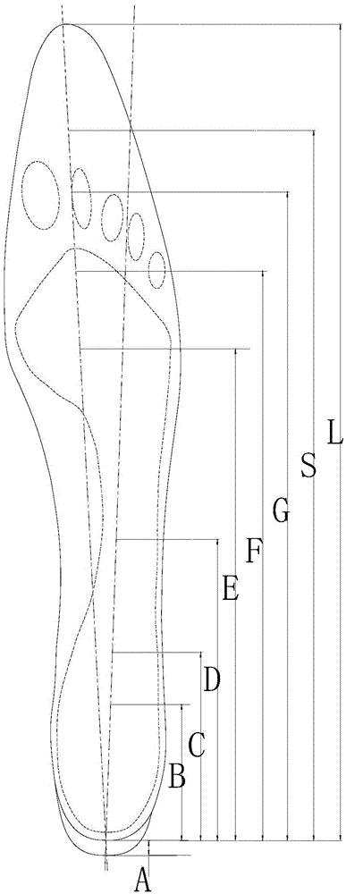 Independent shoe last model for shoemaking and high-heeled shoes