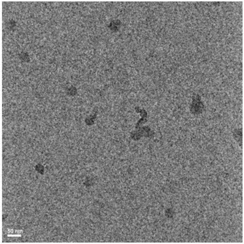 Melanin/Ce6 photodynamic nano drug with enhanced light absorption and preparation method of melanin/Ce6 photodynamic nano drug