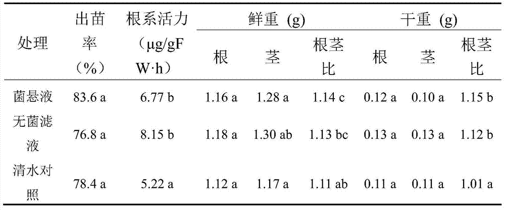 Corn endophyte Bacillus subtilis and its application in biocontrol