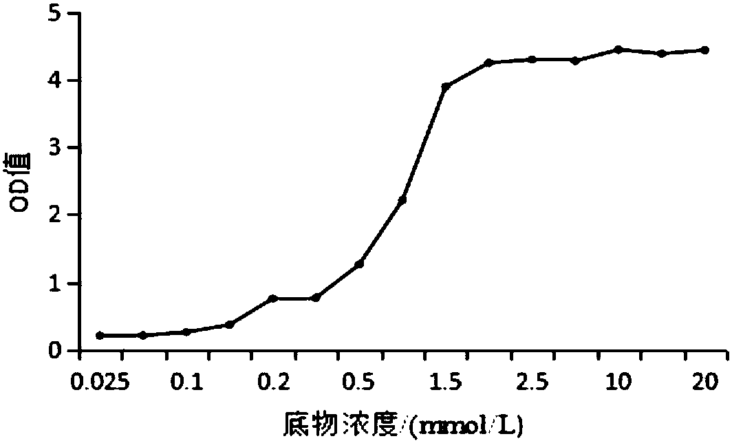 Space lactobacillus plantarum SS18-37 capable of reducing activity of alpha-glucosaccharase and application of space lactobacillus plantarum SS18-37