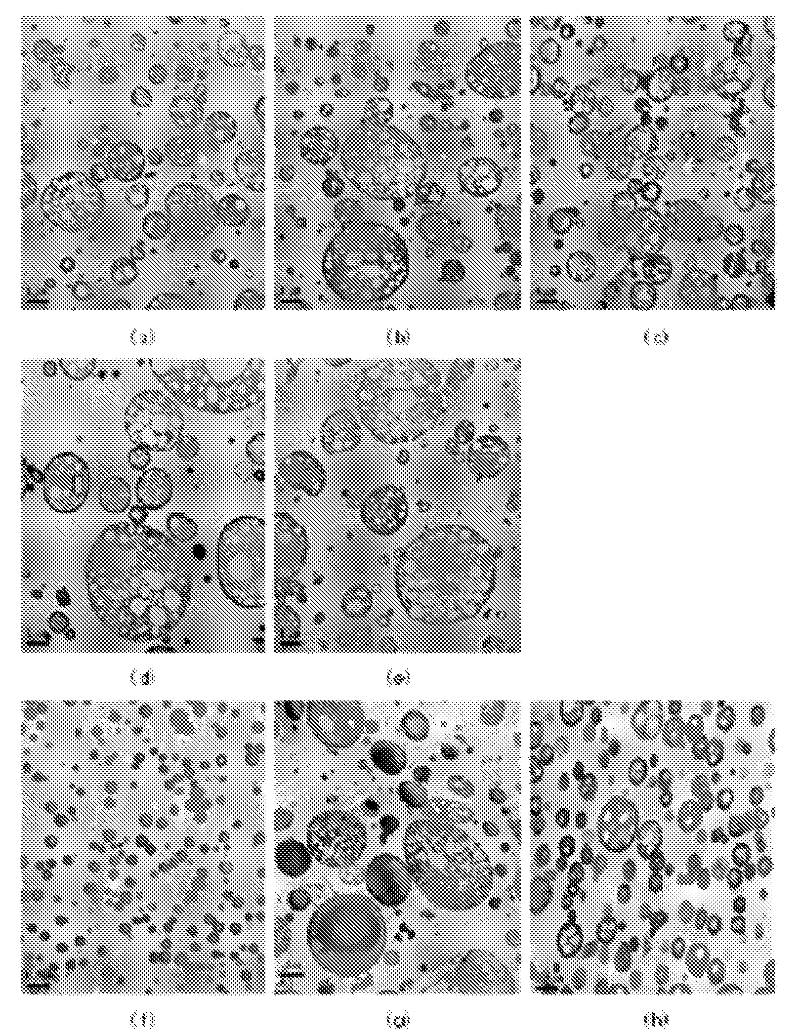 Thermoplastic Resin Composition Having Excellent Low Gloss Characteristic and Scratch Resistance, and Method for Preparing the Same