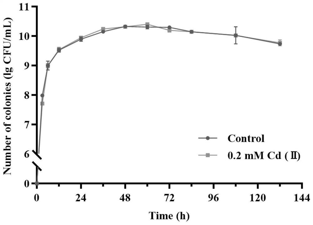 Strain Serratia sp.X10 for reducing cadmium accumulation in rice and application of strain Serratia sp.X10