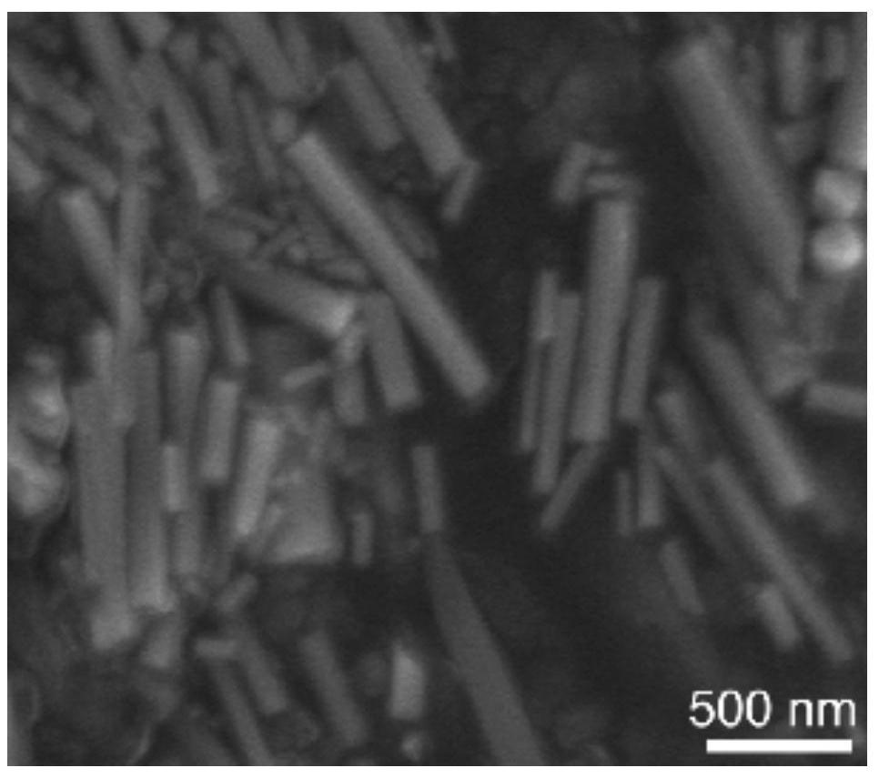 Self-healing branched polyethylenediamine hydrogel microcapsule composite material, its preparation method and application