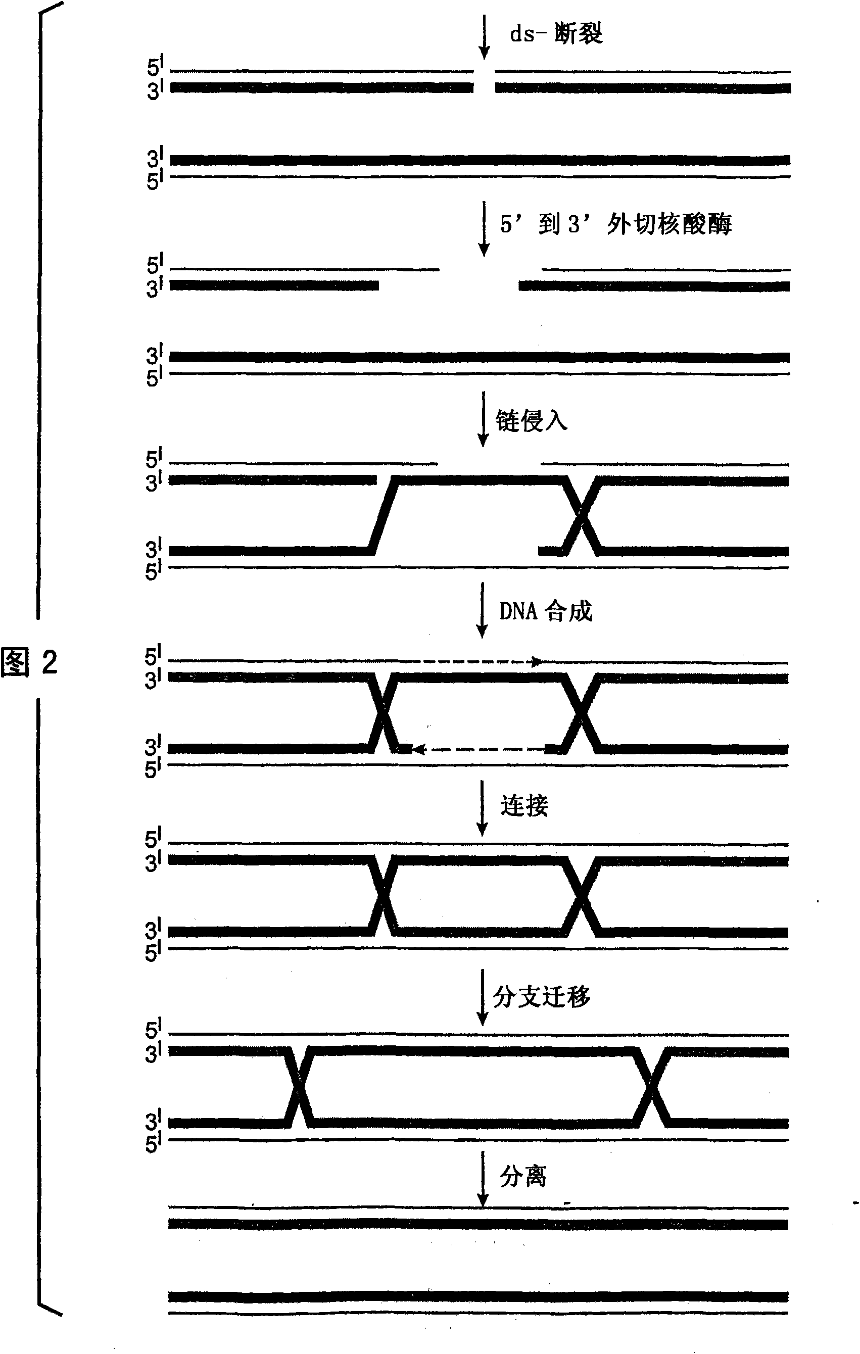 Two step cluster deletion and humanisation