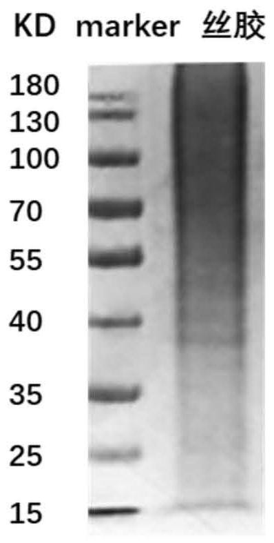 Sericin hydrogel as well as preparation method and application thereof