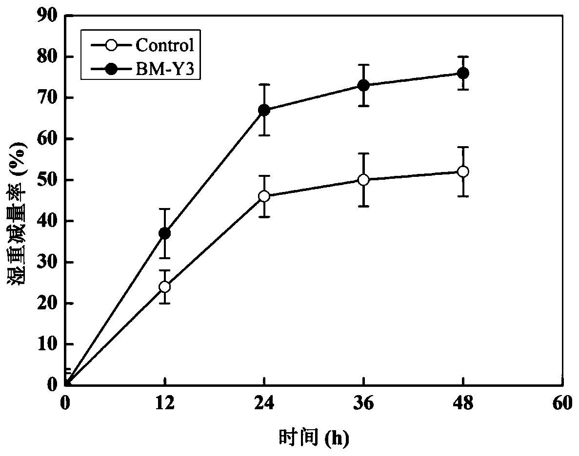 Ecological toilet treatment strain and application thereof