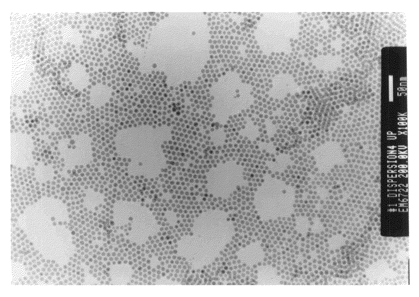 Particulate powder of silver and method of manufacturing same