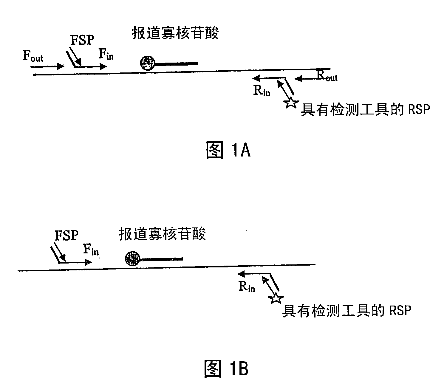 Method and kit for primer based amplification of nucleic acids