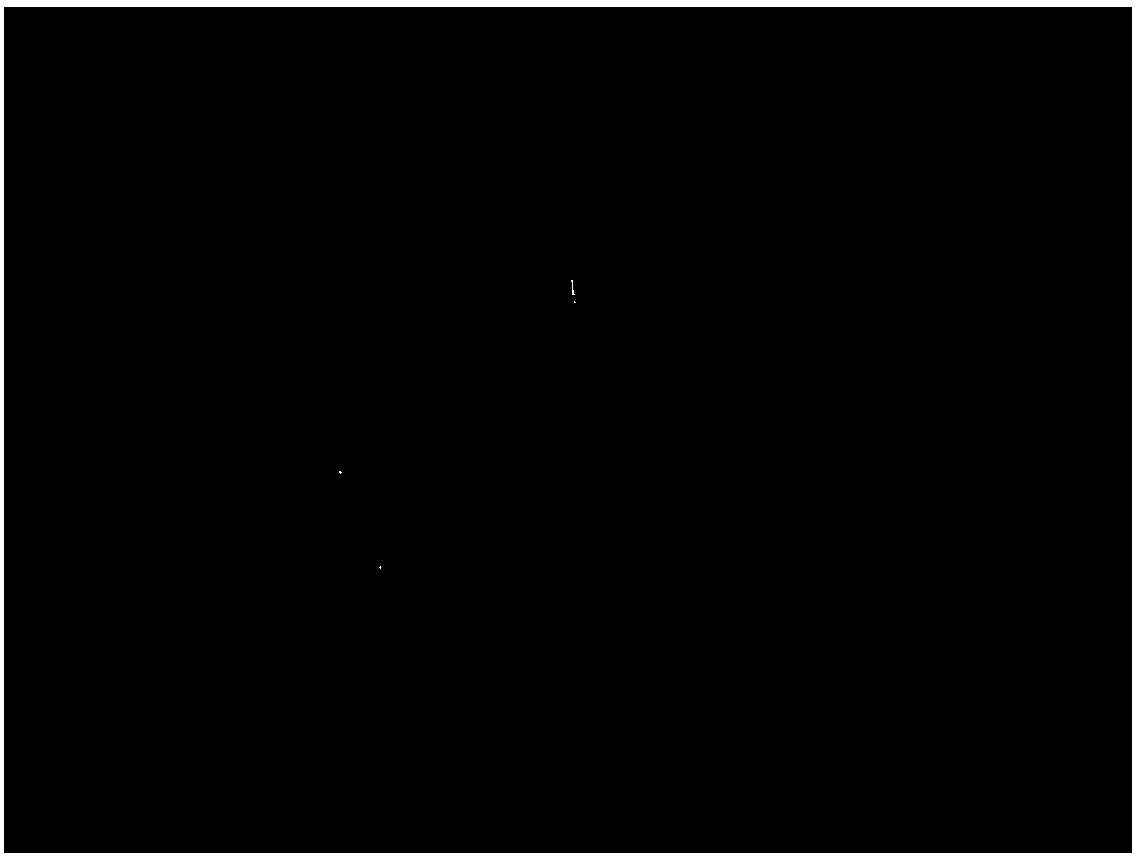 Antimicrobial protein product of bacillus amyloliquefaciens NCPSJ7 and preparation method of antimicrobial protein product